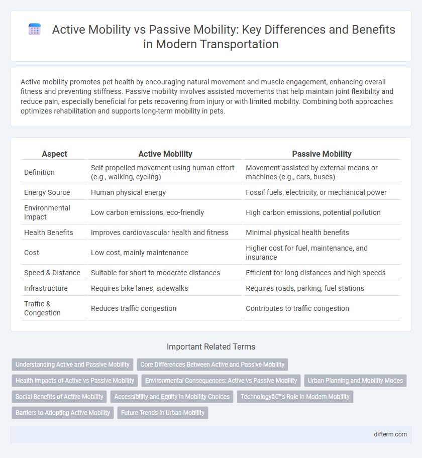Active Mobility vs Passive Mobility: Key Differences and Benefits in Modern Transportation