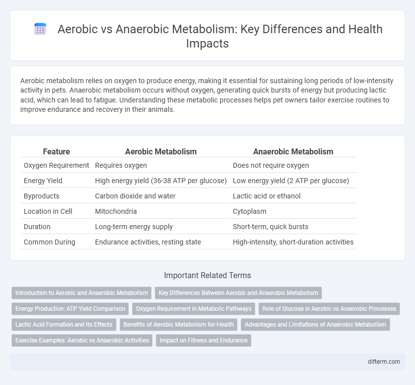 Aerobic vs Anaerobic Metabolism: Key Differences and Health Impacts