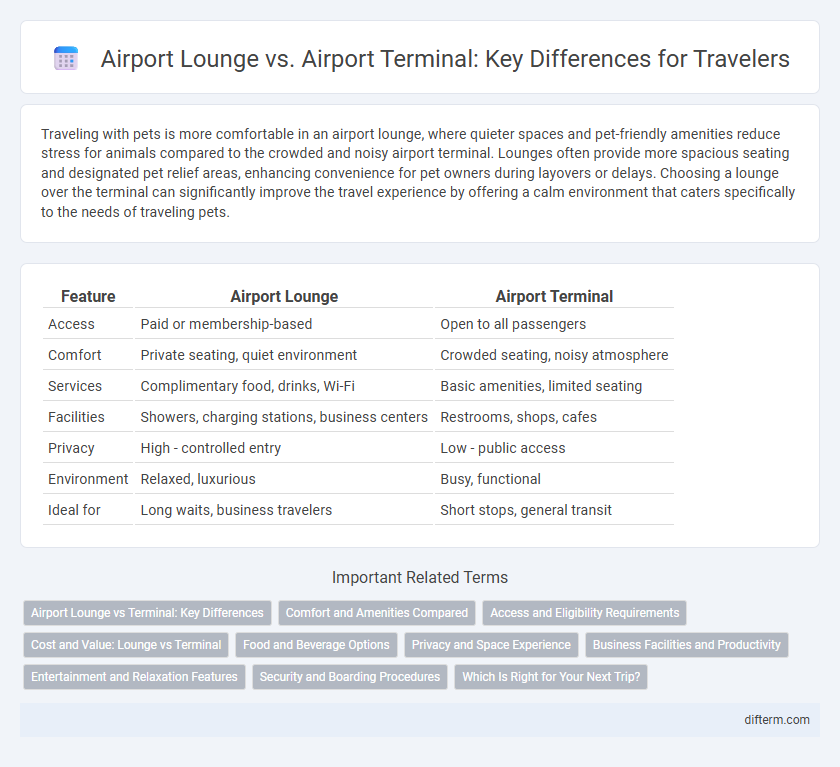 Airport Lounge vs. Airport Terminal: Key Differences for Travelers