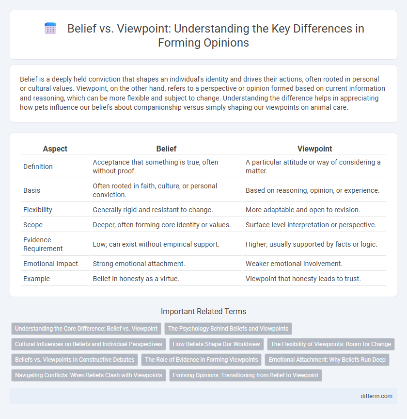 Belief vs. Viewpoint: Understanding the Key Differences in Forming Opinions