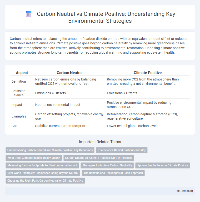 Carbon Neutral vs Climate Positive: Understanding Key Environmental Strategies