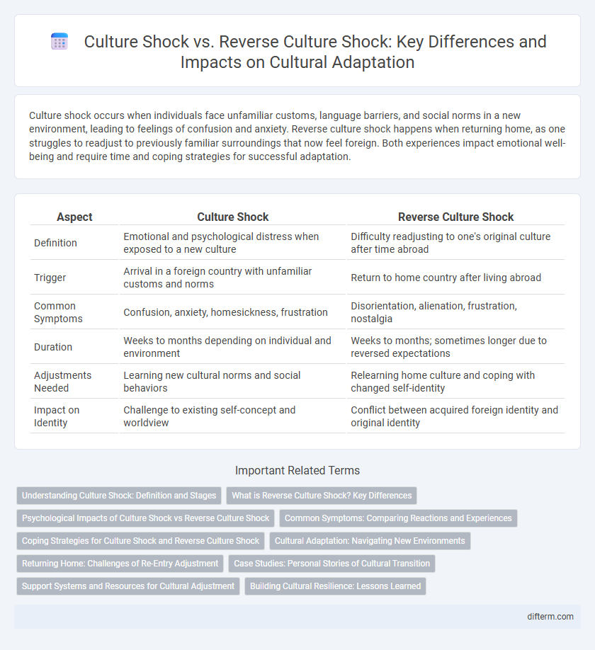 Culture Shock vs. Reverse Culture Shock: Key Differences and Impacts on Cultural Adaptation