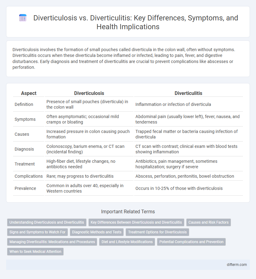 Diverticulosis vs. Diverticulitis: Key Differences, Symptoms, and Health Implications