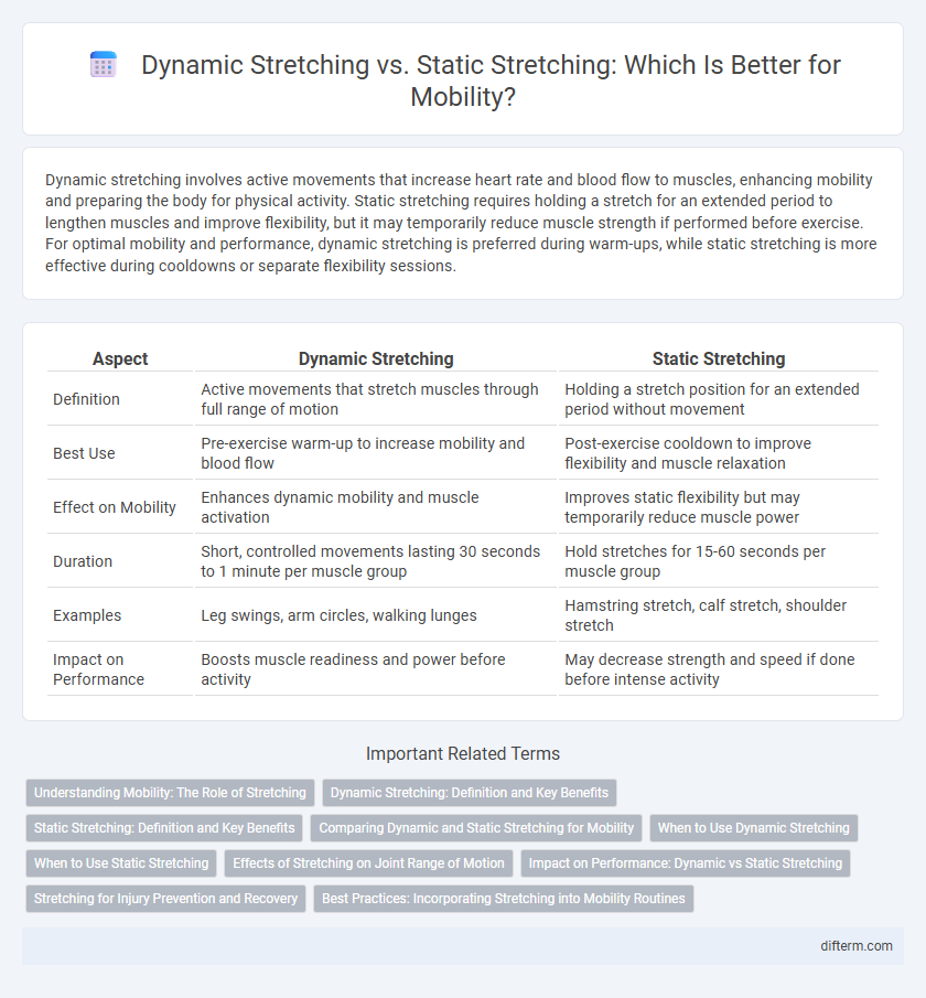 Dynamic Stretching vs. Static Stretching: Which Is Better for Mobility?