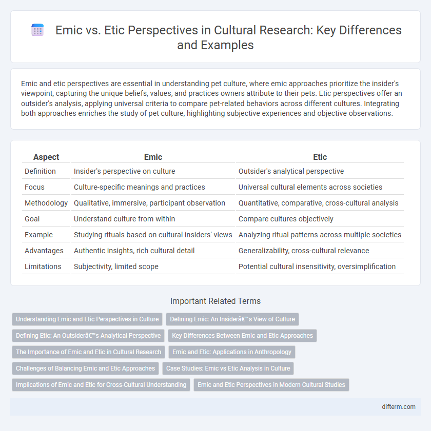 Emic vs. Etic Perspectives in Cultural Research: Key Differences and Examples