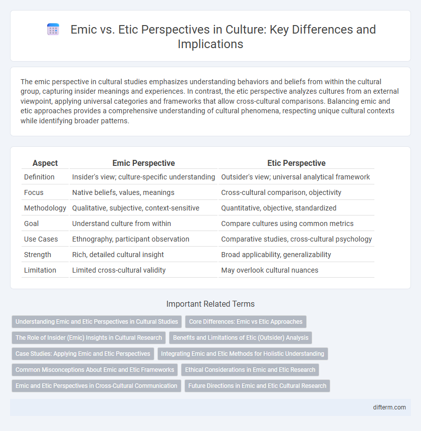 Emic vs. Etic Perspectives in Culture: Key Differences and Implications