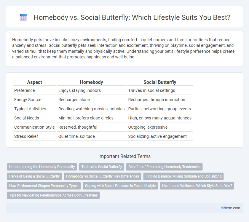 Homebody vs. Social Butterfly: Which Lifestyle Suits You Best?