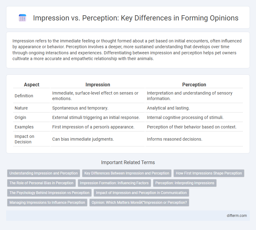 Impression vs. Perception: Key Differences in Forming Opinions