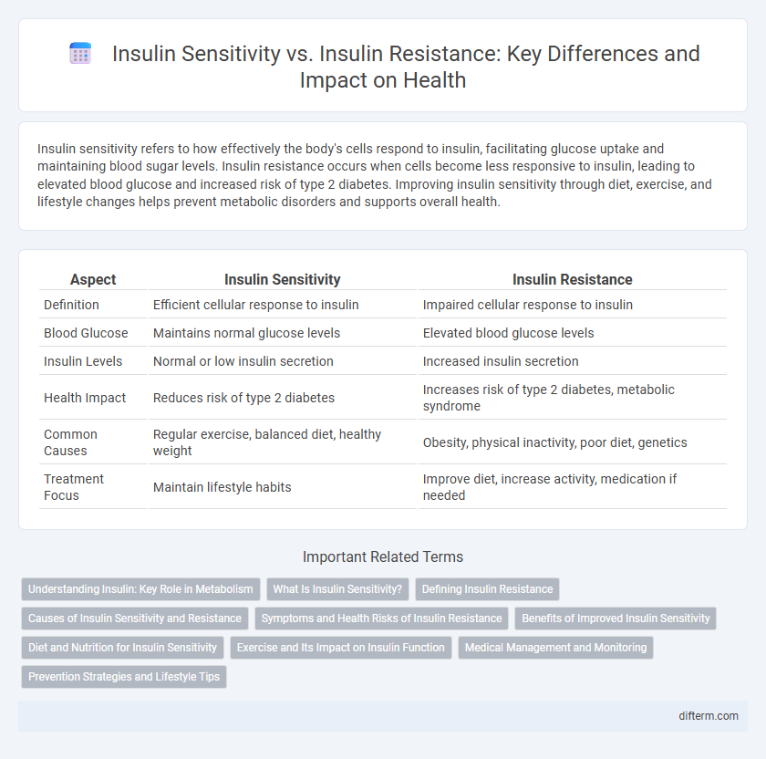 Insulin Sensitivity vs. Insulin Resistance: Key Differences and Impact on Health