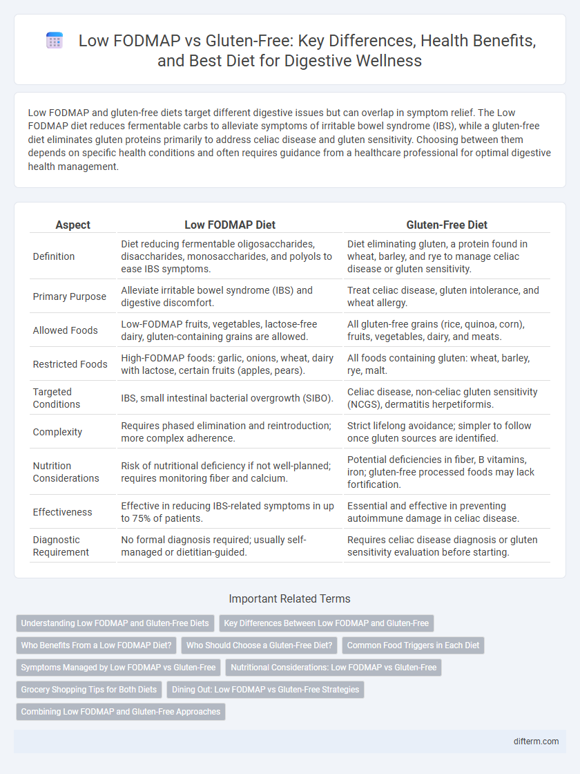 Low FODMAP vs Gluten-Free: Key Differences, Health Benefits, and Best Diet for Digestive Wellness
