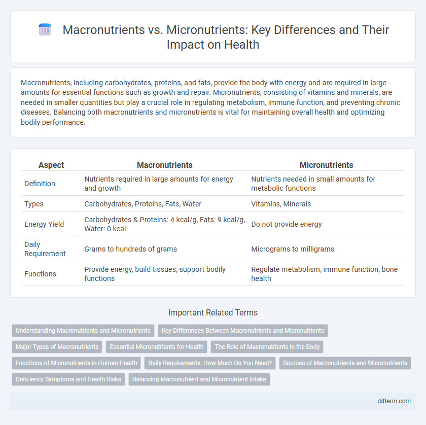 Macronutrients vs. Micronutrients: Key Differences and Their Impact on Health