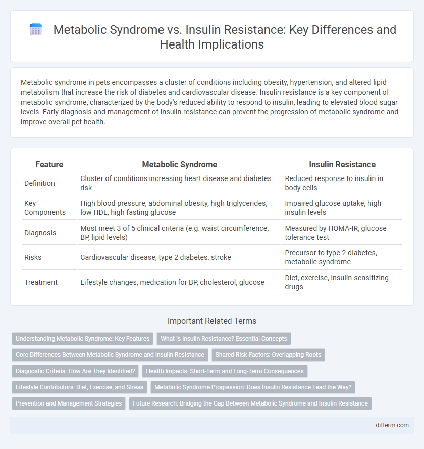 Metabolic Syndrome vs. Insulin Resistance: Key Differences and Health Implications
