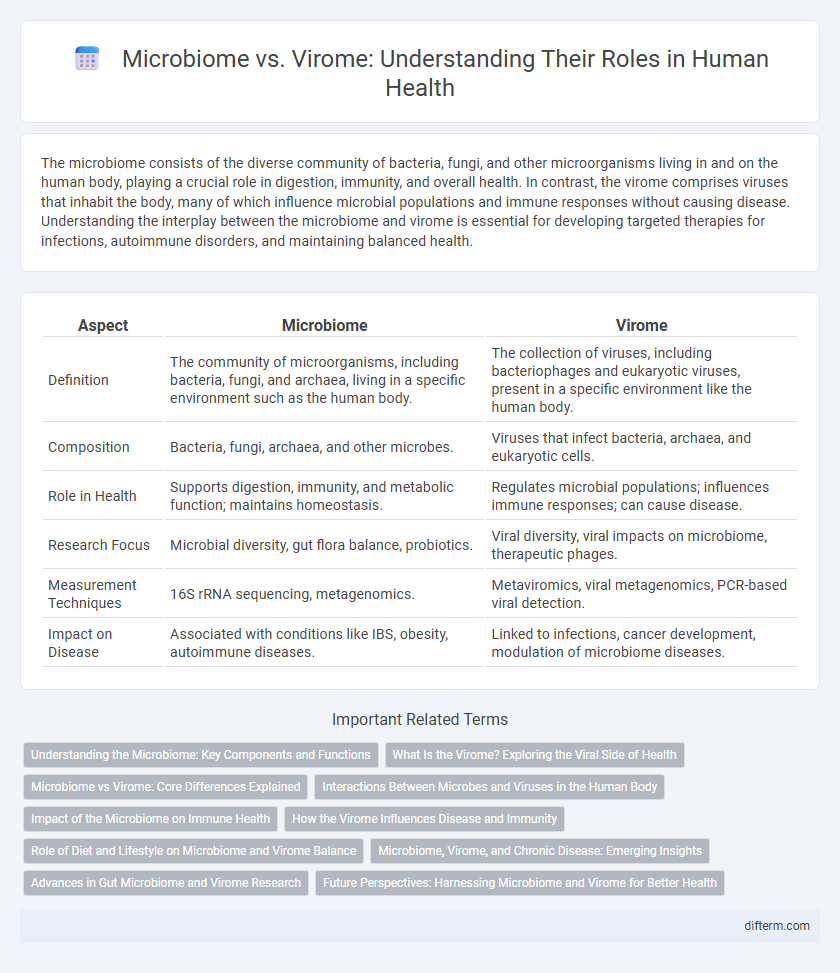 Microbiome vs. Virome: Understanding Their Roles in Human Health