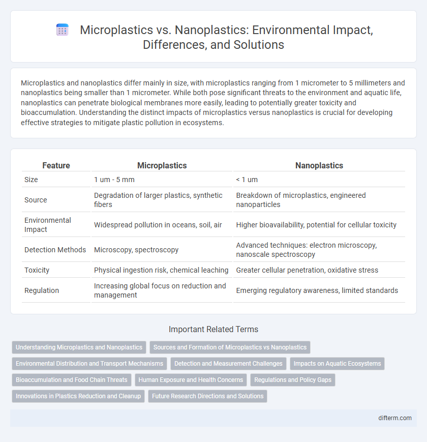 Microplastics vs. Nanoplastics: Environmental Impact, Differences, and Solutions