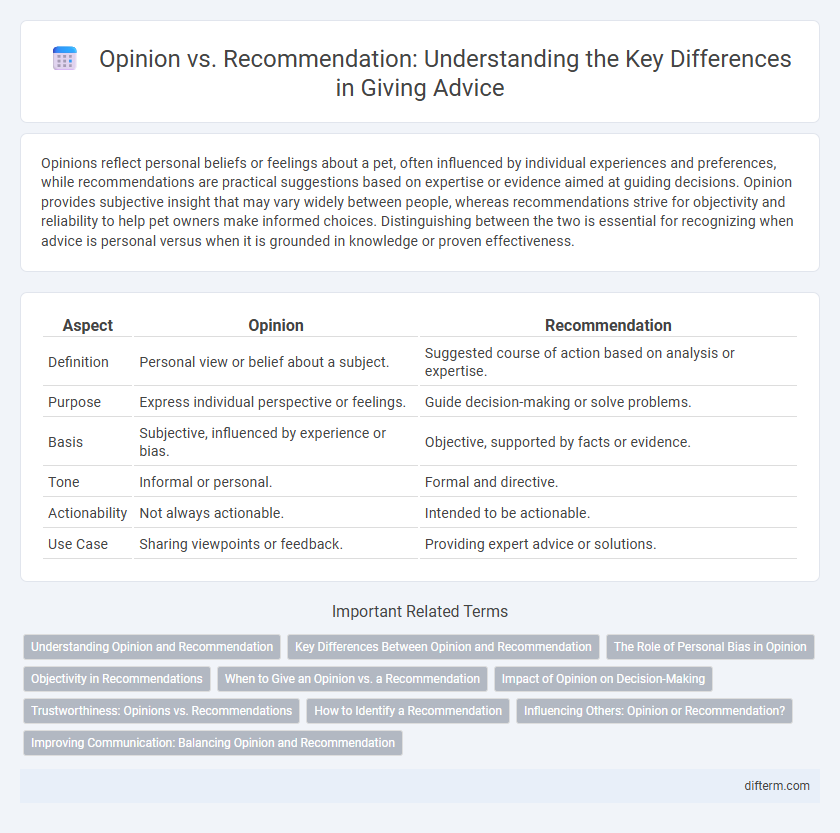 Opinion vs. Recommendation: Understanding the Key Differences in Giving Advice