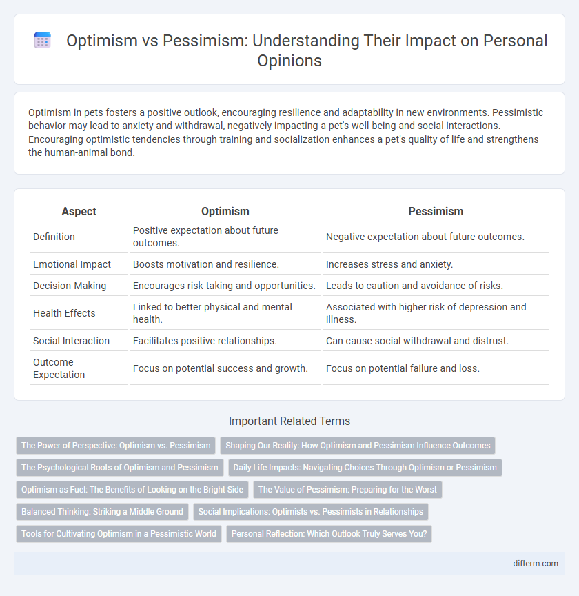 Optimism vs Pessimism: Understanding Their Impact on Personal Opinions