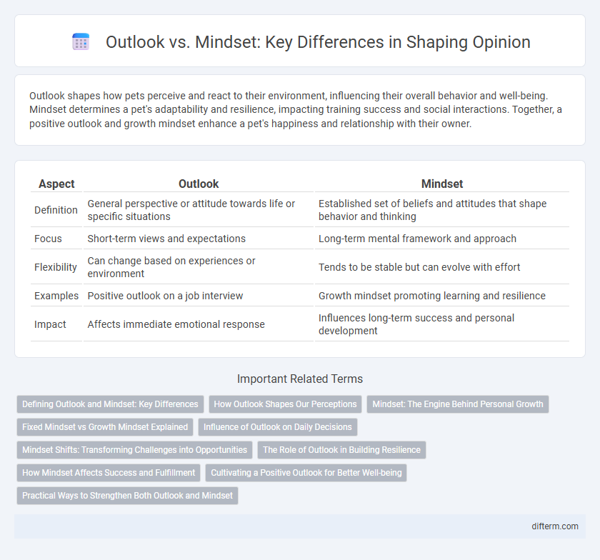 Outlook vs. Mindset: Key Differences in Shaping Opinion