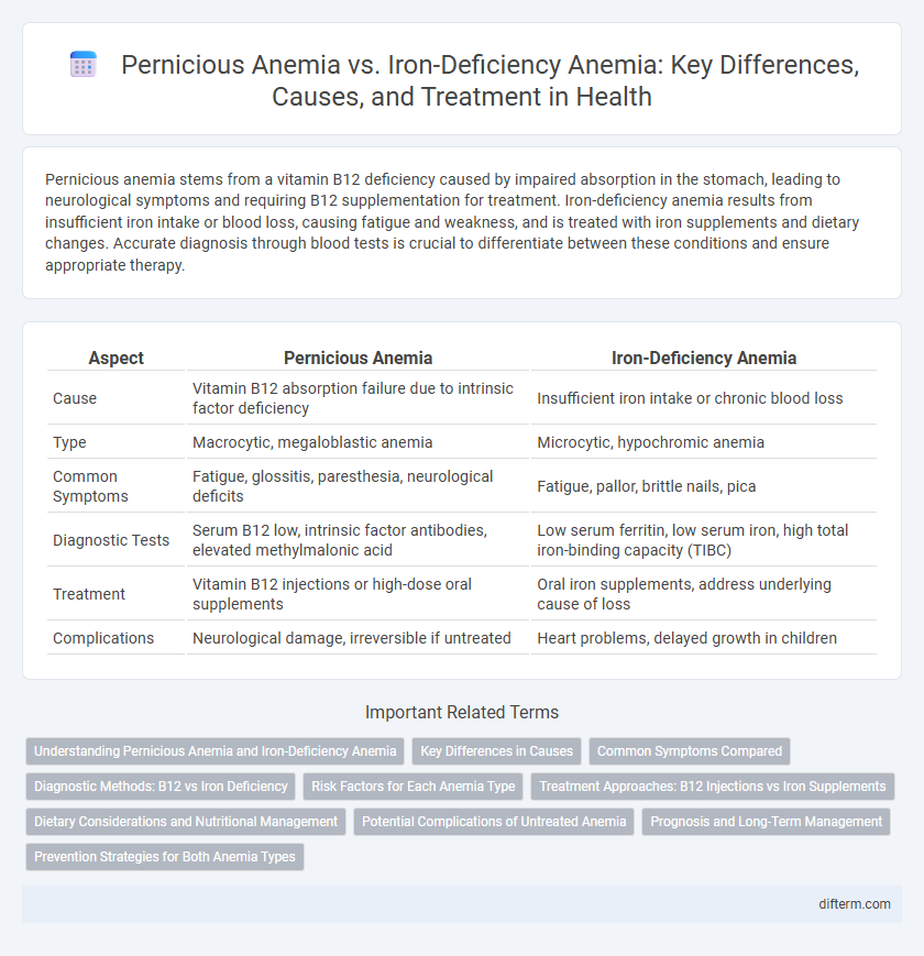 Pernicious Anemia vs. Iron-Deficiency Anemia: Key Differences, Causes, and Treatment in Health