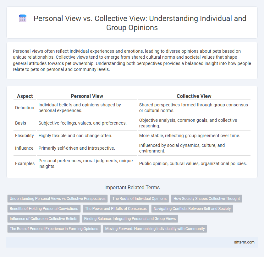Personal View vs. Collective View: Understanding Individual and Group Opinions