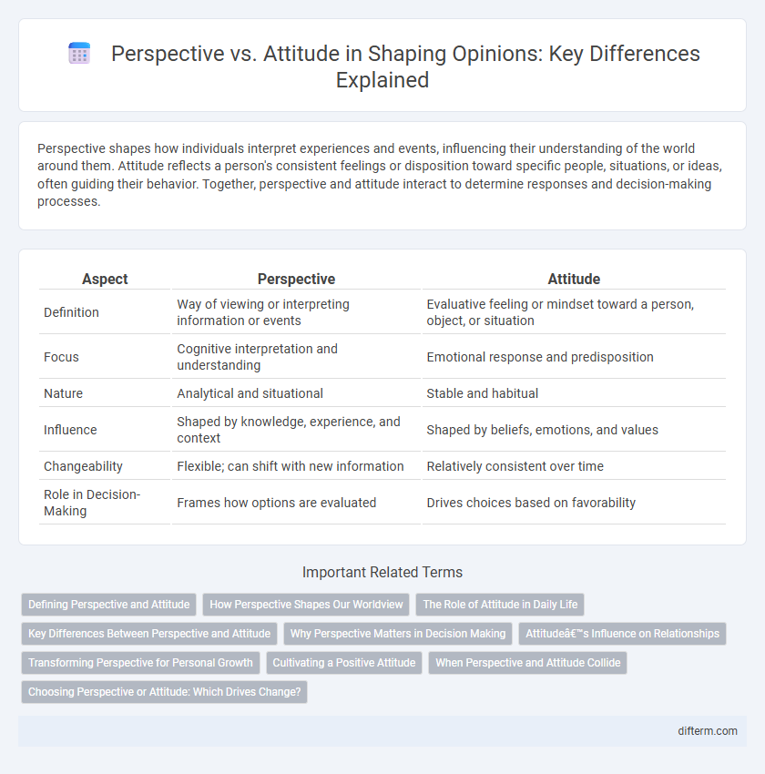 Perspective vs. Attitude in Shaping Opinions: Key Differences Explained