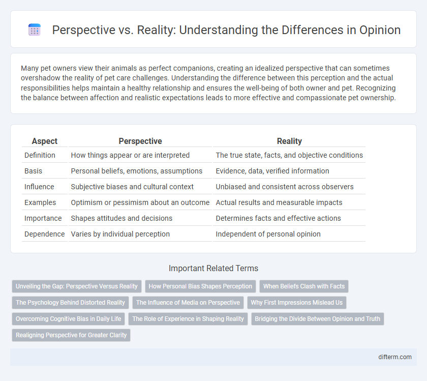Perspective vs. Reality: Understanding the Differences in Opinion