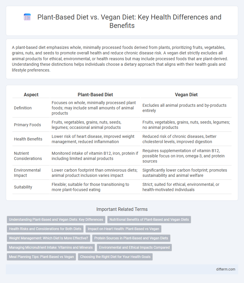 Plant-Based Diet vs. Vegan Diet: Key Health Differences and Benefits