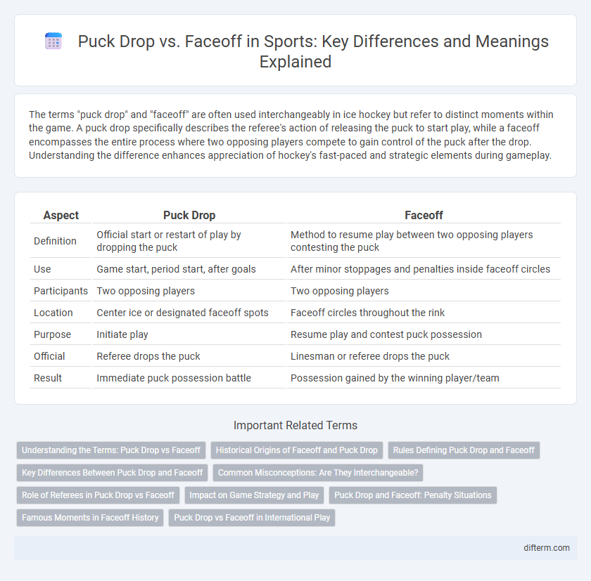Puck Drop vs. Faceoff in Sports: Key Differences and Meanings Explained