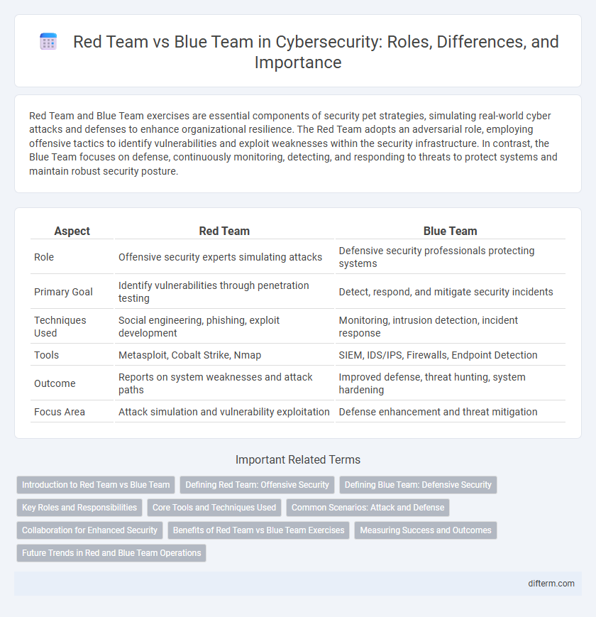 Red Team vs Blue Team in Cybersecurity: Roles, Differences, and Importance