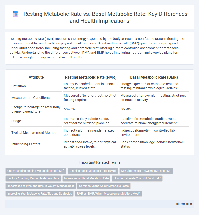 Resting Metabolic Rate vs. Basal Metabolic Rate: Key Differences and Health Implications