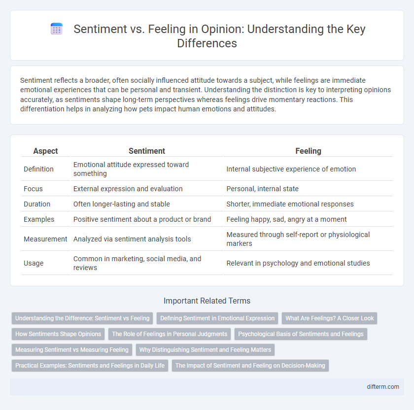 Sentiment vs. Feeling in Opinion: Understanding the Key Differences