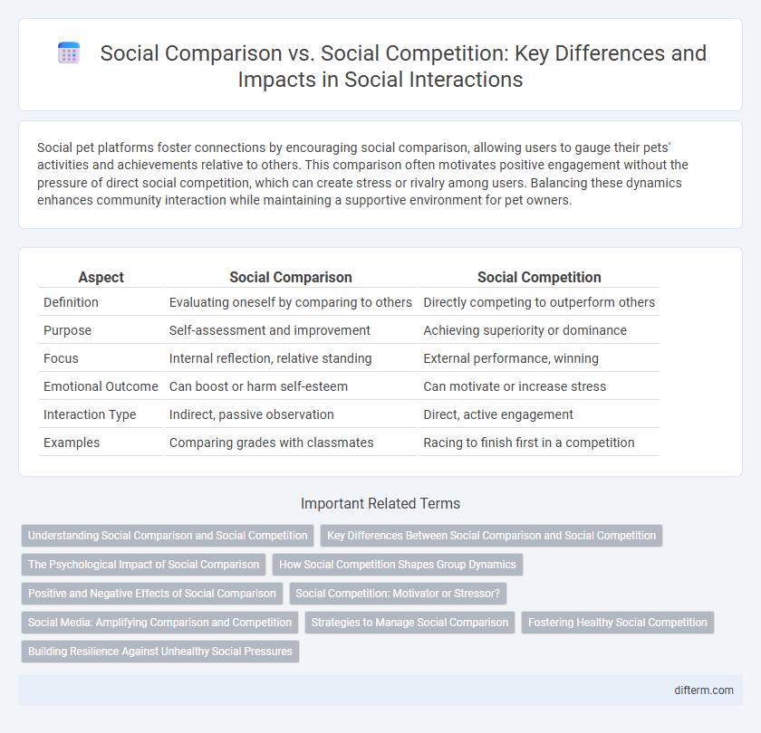 Social Comparison vs. Social Competition: Key Differences and Impacts in Social Interactions