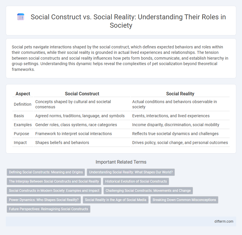 Social Construct vs. Social Reality: Understanding Their Roles in Society