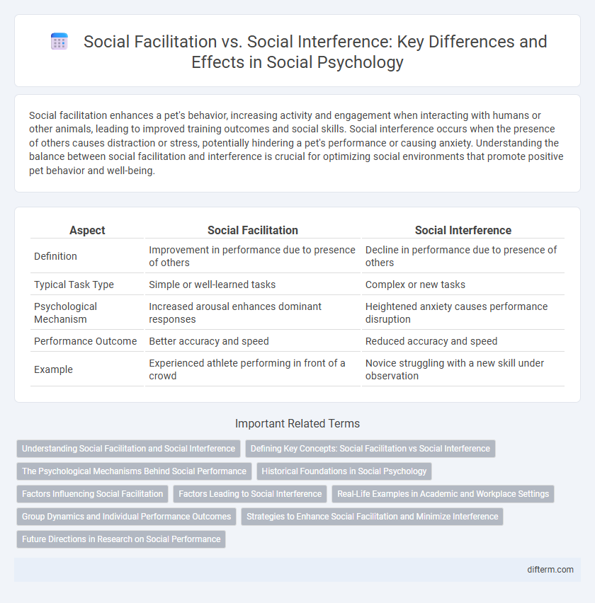 Social Facilitation vs. Social Interference: Key Differences and Effects in Social Psychology