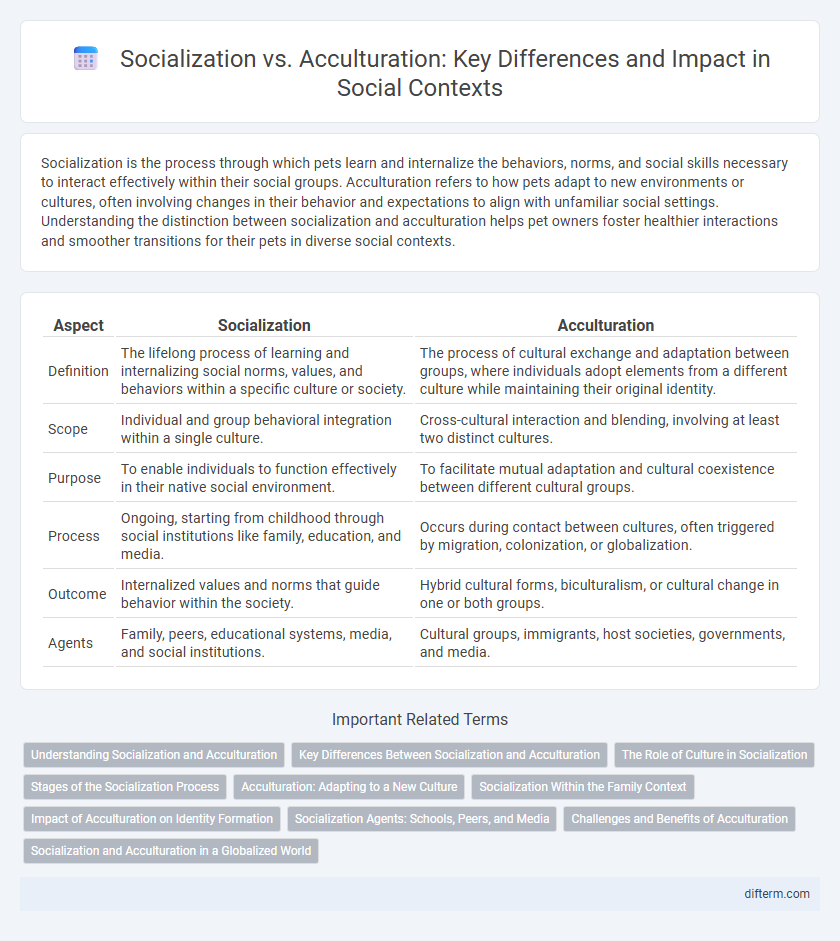 Socialization vs. Acculturation: Key Differences and Impact in Social Contexts