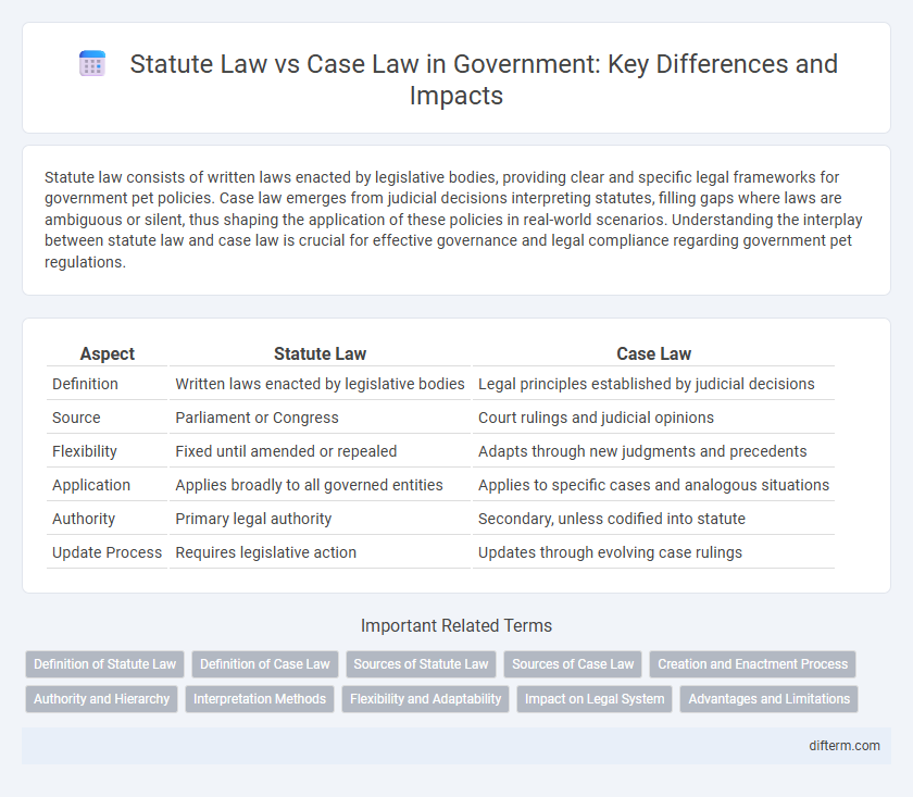 Statute Law vs Case Law in Government: Key Differences and Impacts