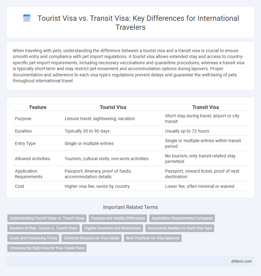 Tourist Visa vs. Transit Visa: Key Differences for International Travelers