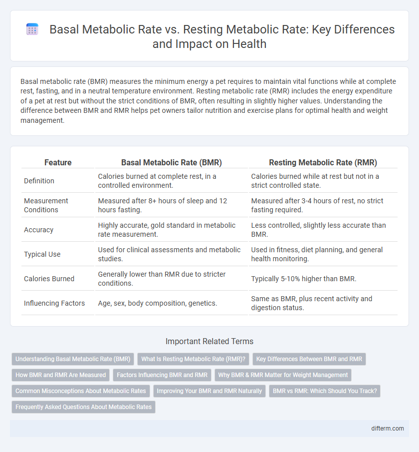 Basal Metabolic Rate vs. Resting Metabolic Rate: Key Differences and Impact on Health