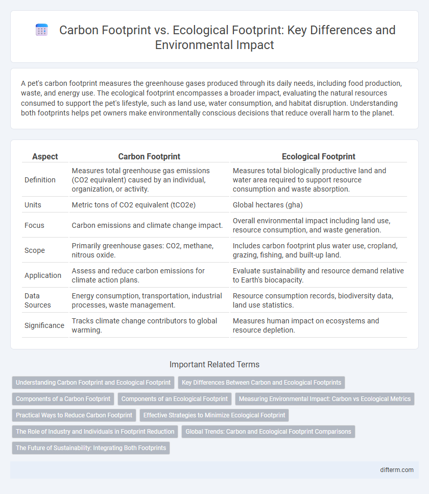 Carbon Footprint vs. Ecological Footprint: Key Differences and Environmental Impact
