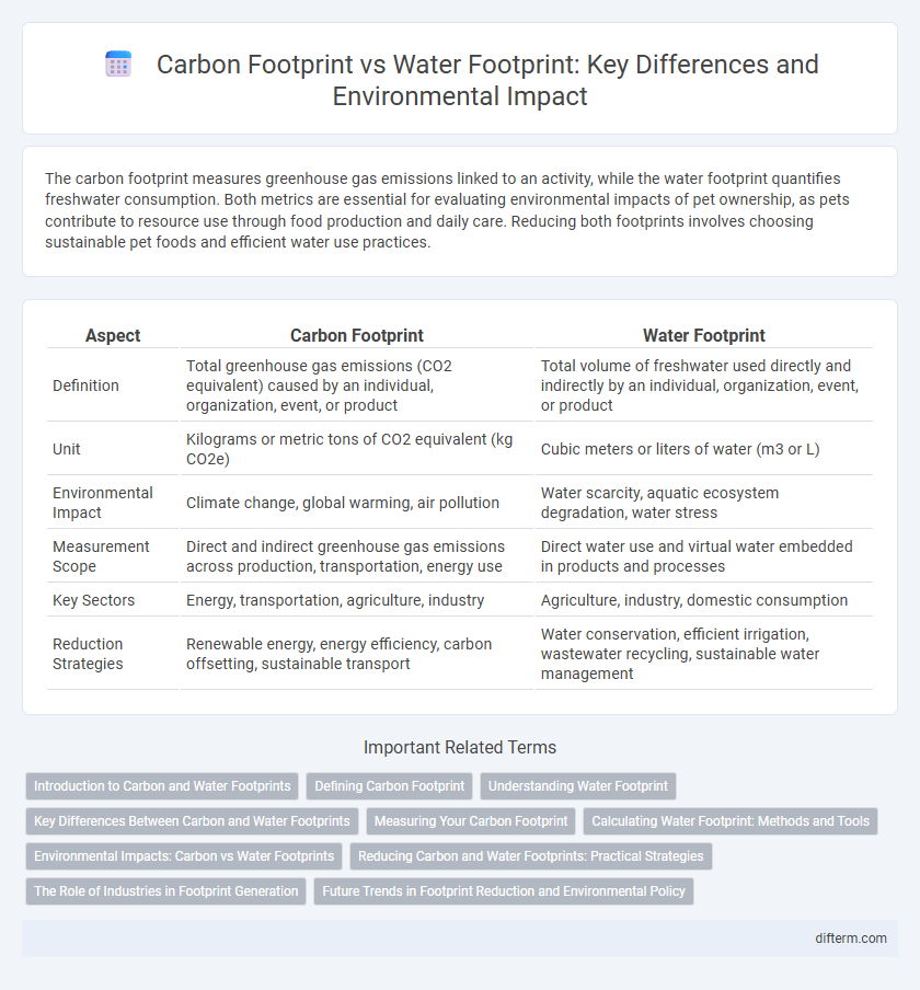 Carbon Footprint vs Water Footprint: Key Differences and Environmental Impact