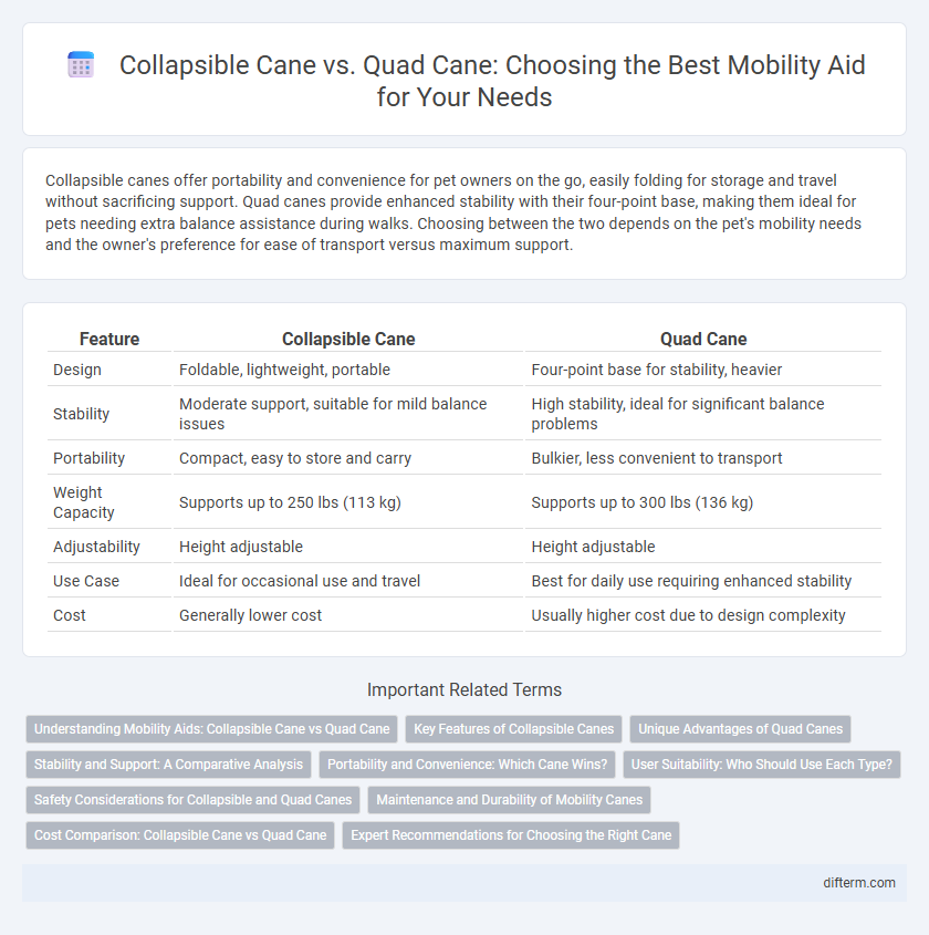 Collapsible Cane vs. Quad Cane: Choosing the Best Mobility Aid for Your Needs