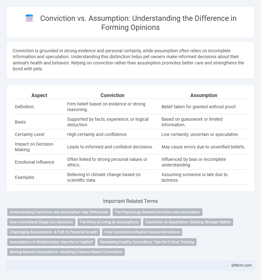 Conviction vs. Assumption: Understanding the Difference in Forming Opinions