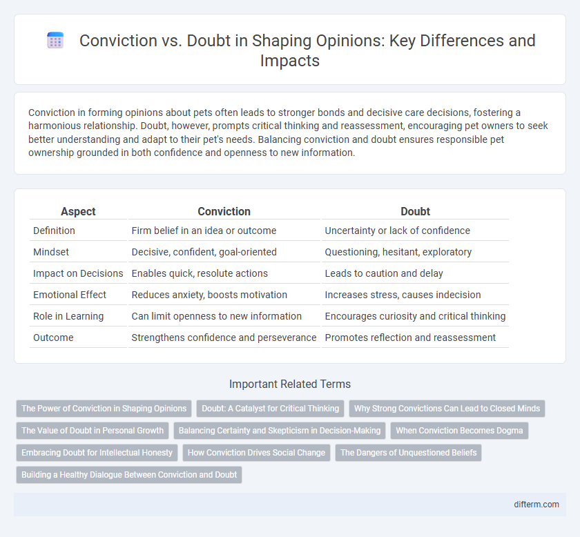Conviction vs. Doubt in Shaping Opinions: Key Differences and Impacts