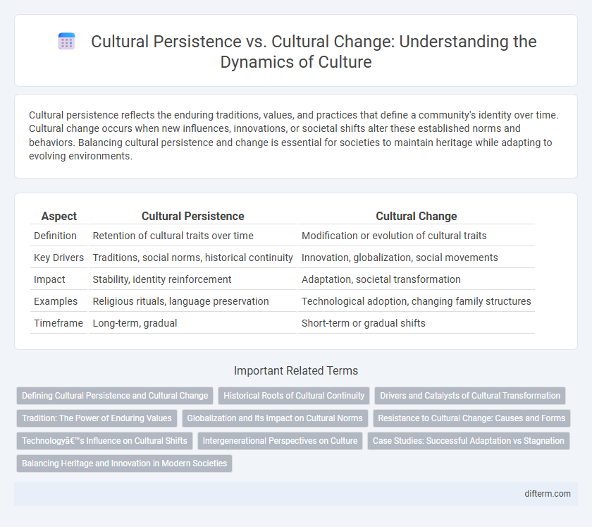 Cultural Persistence vs. Cultural Change: Understanding the Dynamics of Culture