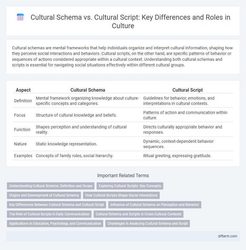 Cultural Schema vs. Cultural Script: Key Differences and Roles in Culture