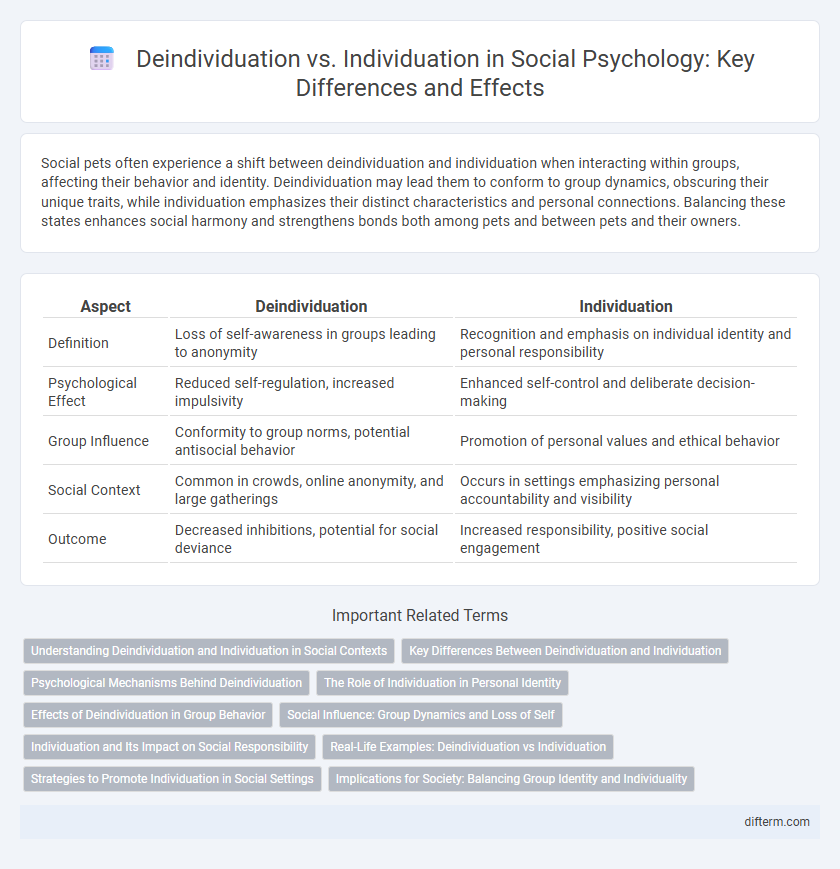 Deindividuation vs. Individuation in Social Psychology: Key Differences and Effects
