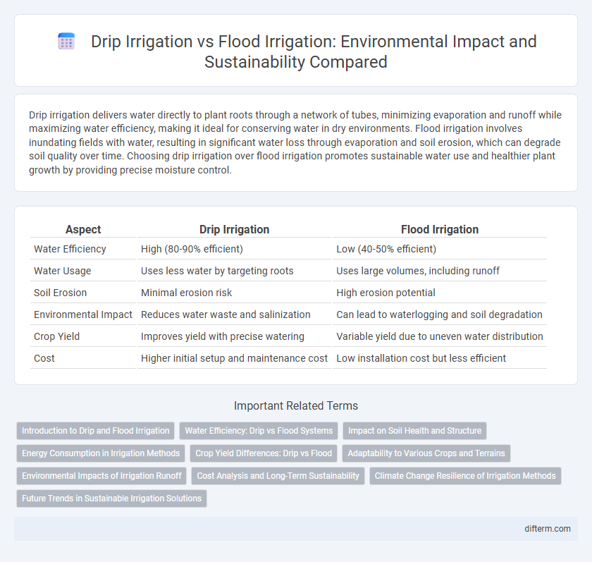 Drip Irrigation vs Flood Irrigation: Environmental Impact and Sustainability Compared