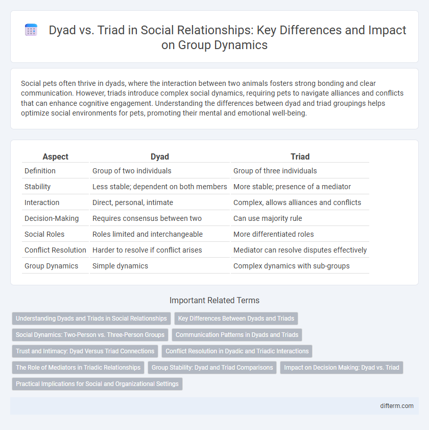 Dyad vs. Triad in Social Relationships: Key Differences and Impact on Group Dynamics