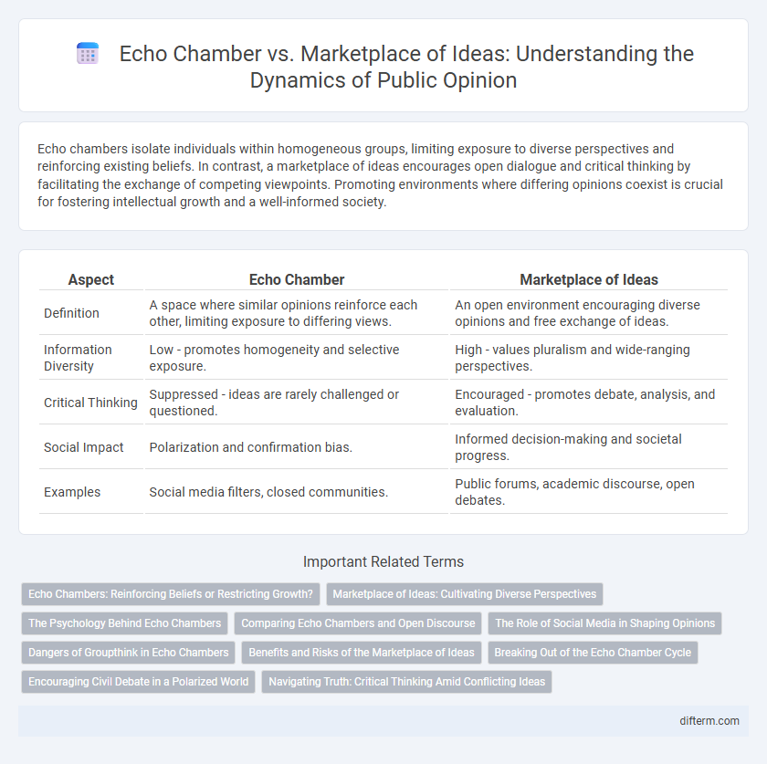 Echo Chamber vs. Marketplace of Ideas: Understanding the Dynamics of Public Opinion