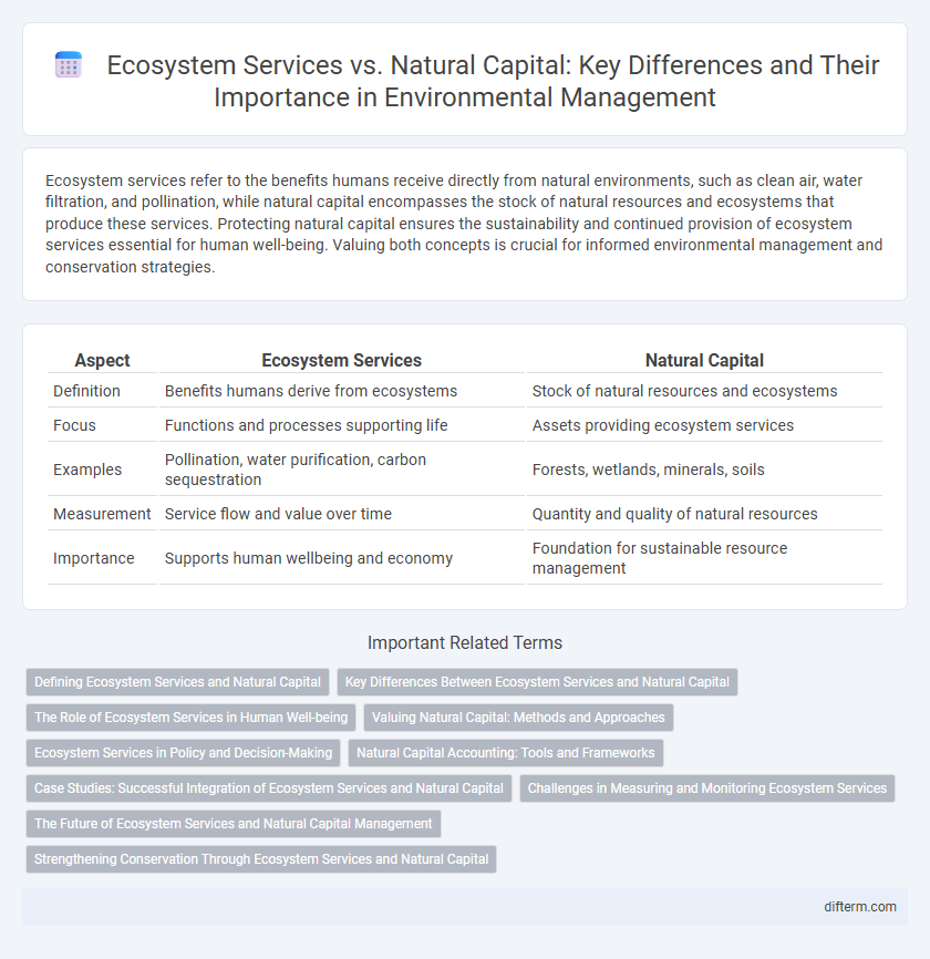 Ecosystem Services vs. Natural Capital: Key Differences and Their Importance in Environmental Management