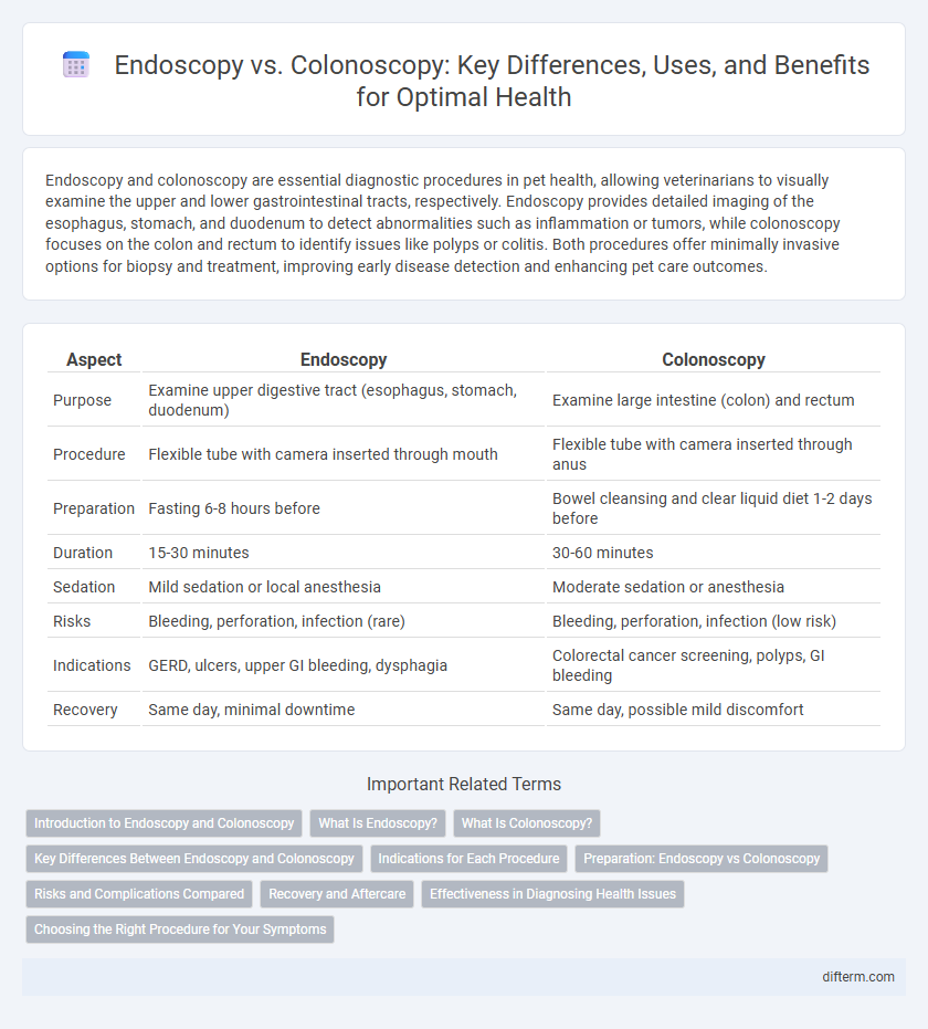 Endoscopy vs. Colonoscopy: Key Differences, Uses, and Benefits for Optimal Health